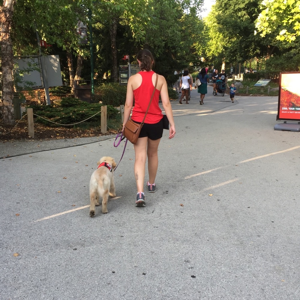 Meet your Posher, Alyssa